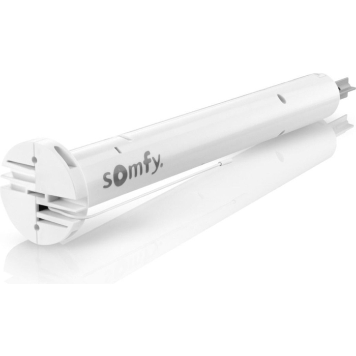 Somfy-Junior-RU-30-RTS